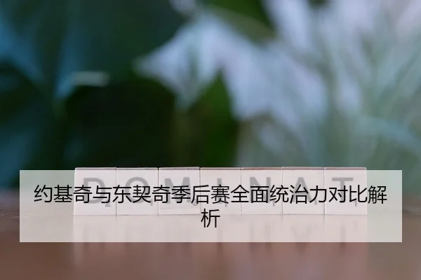 约基奇与东契奇季后赛全面统治力对比解析